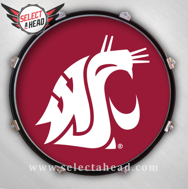 Washington State University