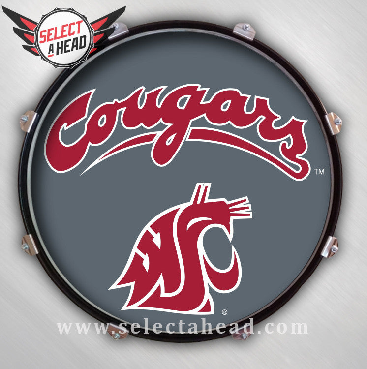 Washington State University
