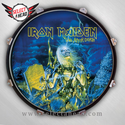 Iron Maiden Somewhere in Time 2008